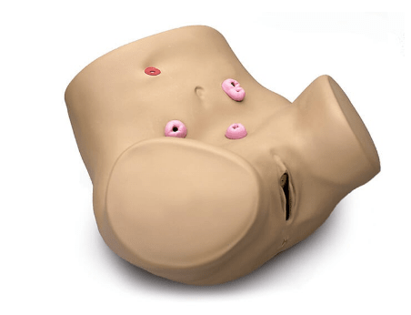(S230.2) ADVANCED PATIENT CARE FEMALE OSTOMY SKILLS TRAINER 