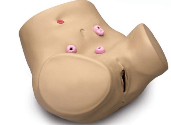 https://mail.jayakelana.id/uploads/product/pelatih-keterampilan-ostomi-perawatan-275226f46bac0bd_cover.png