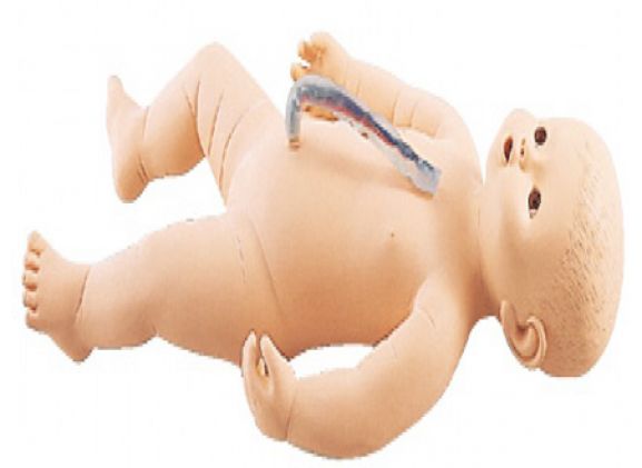 https://mail.jayakelana.id/uploads/product/sakamoto-bayi-perempuan-m107-4--832713460d4a259_cover.png