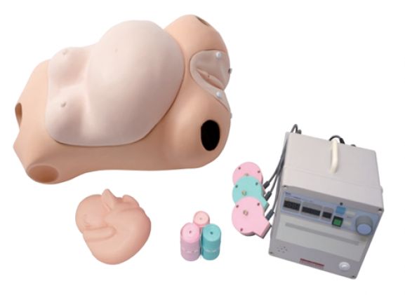https://mail.jayakelana.id/uploads/product/sakamoto-cardiotocograph-simulator-m191--3796317d2ae8673_cover.png