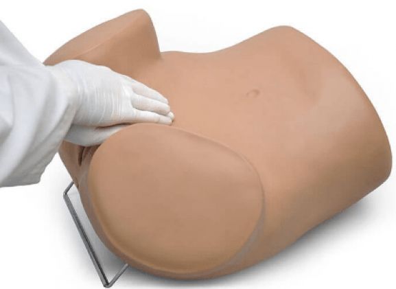 https://mail.jayakelana.id/uploads/product/sima-gyn-aid-gynecologic-simulator-133601f6cfe360e_cover.png