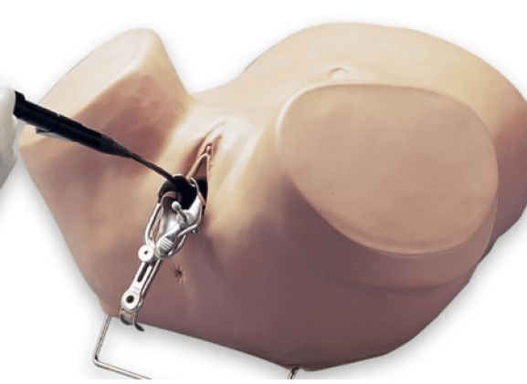 https://mail.jayakelana.id/uploads/product/simulator-histeroskopi-s607--263359ce9a52b9f_cover.png