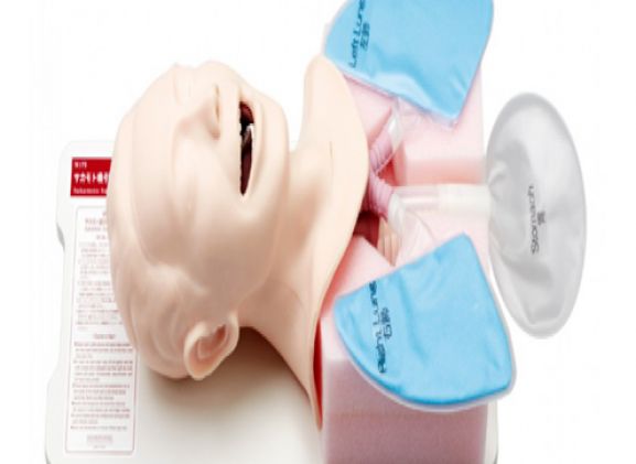 https://mail.jayakelana.id/uploads/product/simulator-penghisap-sakamoto-m175--773877cfc05085e_cover.png