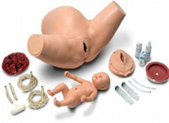 https://mail.jayakelana.id/uploads/product/torso-pelatihan-anak-super-61269cfab35c19a_cover.png