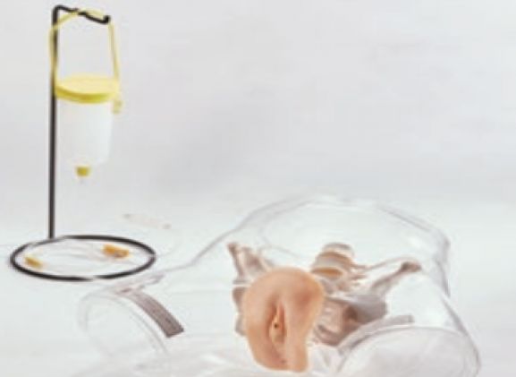 https://mail.jayakelana.id/uploads/product/transparent-female-catheter-model-9987643ffdd9207_cover.png