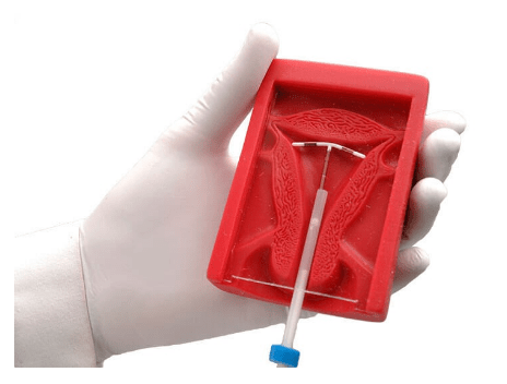 (S507.100) UTERUS II IUD PLACEMENT MODEL 