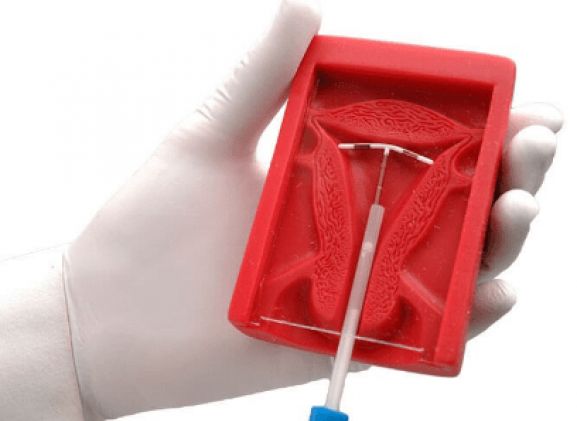 https://mail.jayakelana.id/uploads/product/uterus-ii-iud-placement-13744b31b02c2be_cover.png