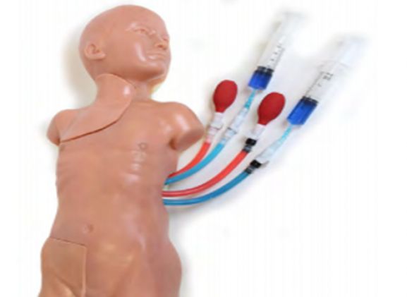https://mail.jayakelana.id/uploads/product/vascular-access-child-replaceable-19418979a20a7c9_cover.png