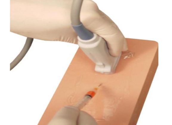 https://mail.jayakelana.id/uploads/product/venipuncture-pad-dengan-saraf-643524dc40e3ff1_cover.png