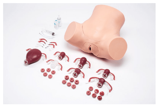 (S504.200) ZOE - GYNECOLOGICAL SKILLS TRAINER 