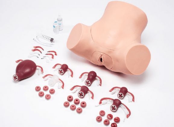 https://mail.jayakelana.id/uploads/product/zoe-pelatih-keterampilan-375185c3d8b3cf5_cover.png